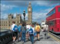 What to See in London ׶ؼӰ