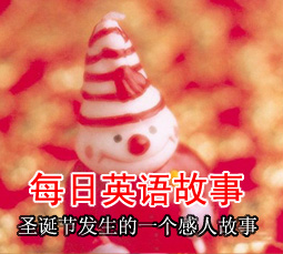 圣诞节发生的一个感人故事