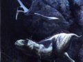ٶӢ£When the Dinosaurs RoamedӢĶ)